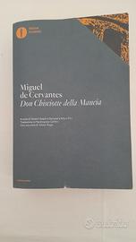 libro Don Chisciotte de la Mancia