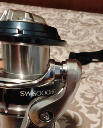 combo spinning medio pesante (light shore)