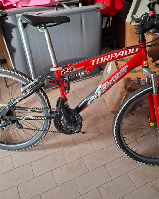Bicicletta