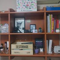 Libreria parete in legno