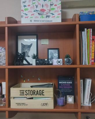 Libreria parete in legno