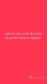 Cuccioli di piccola taglia
