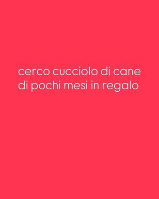 Cuccioli di piccola taglia