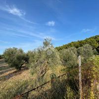 TER. AGRICOLO A VIESTE