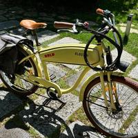 Bici elettriche