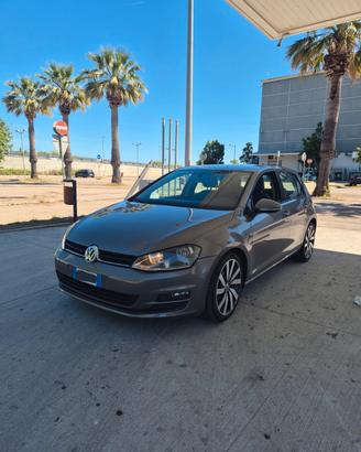 Volkswagen Golf 1.6 TDI 5p. Highline BlueMotion Te