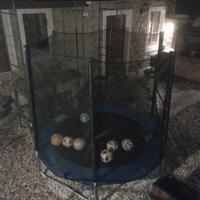 trampolino elastico 