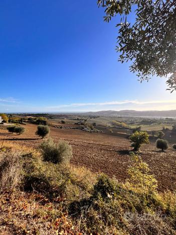 Terreno Agricolo - Monte Urano