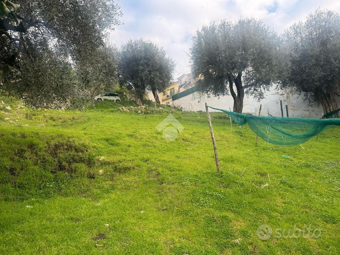 TER. AGRICOLO A LETTERE - Altro
