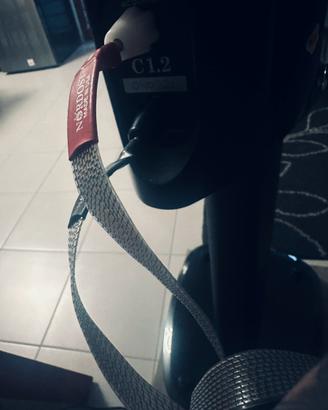 Raidho c1.2 diffusori