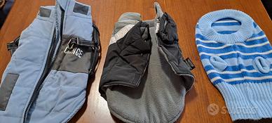 borsa e cappottino cane mini