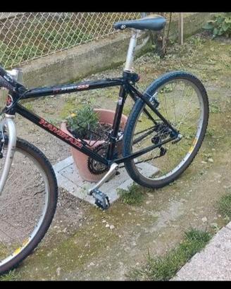 Bici MTB