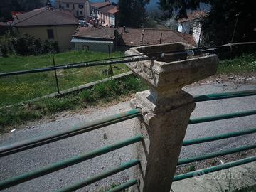 canna spinning alcedo +  tubertini drex nuovo