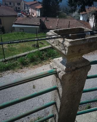 canna spinning alcedo +  tubertini drex nuovo