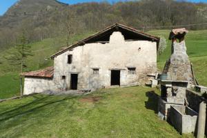 Cascina con terreno e bosco