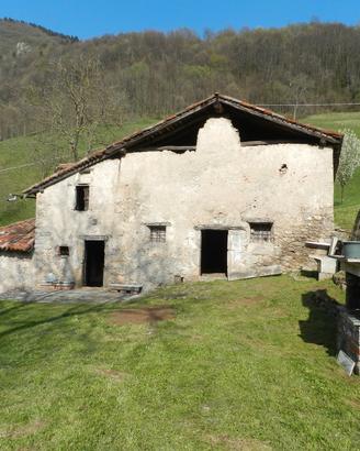 Cascina con terreno e bosco