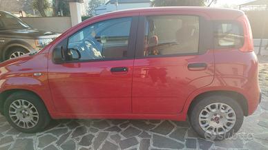 panda 1.2- 41.000 km