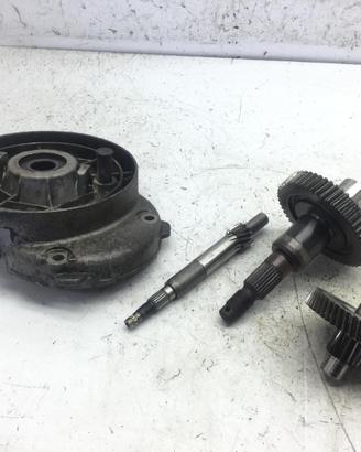 APRILIA SCARABEO 4T 50 CARTER E INGRANAGGI RUOTA P