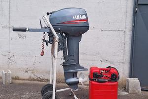 motore fuoribordo 9,9 cv