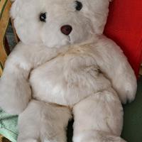 Orso di peluche