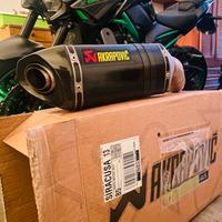 Scarico Akrapovic Kawasaki Z900