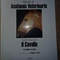 Atlante di anatomia veterinaria del cavallo