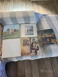 Collezione prime stampe pink floyd