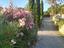 Immagine 9