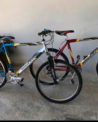 MTB da cambiare pneumatici