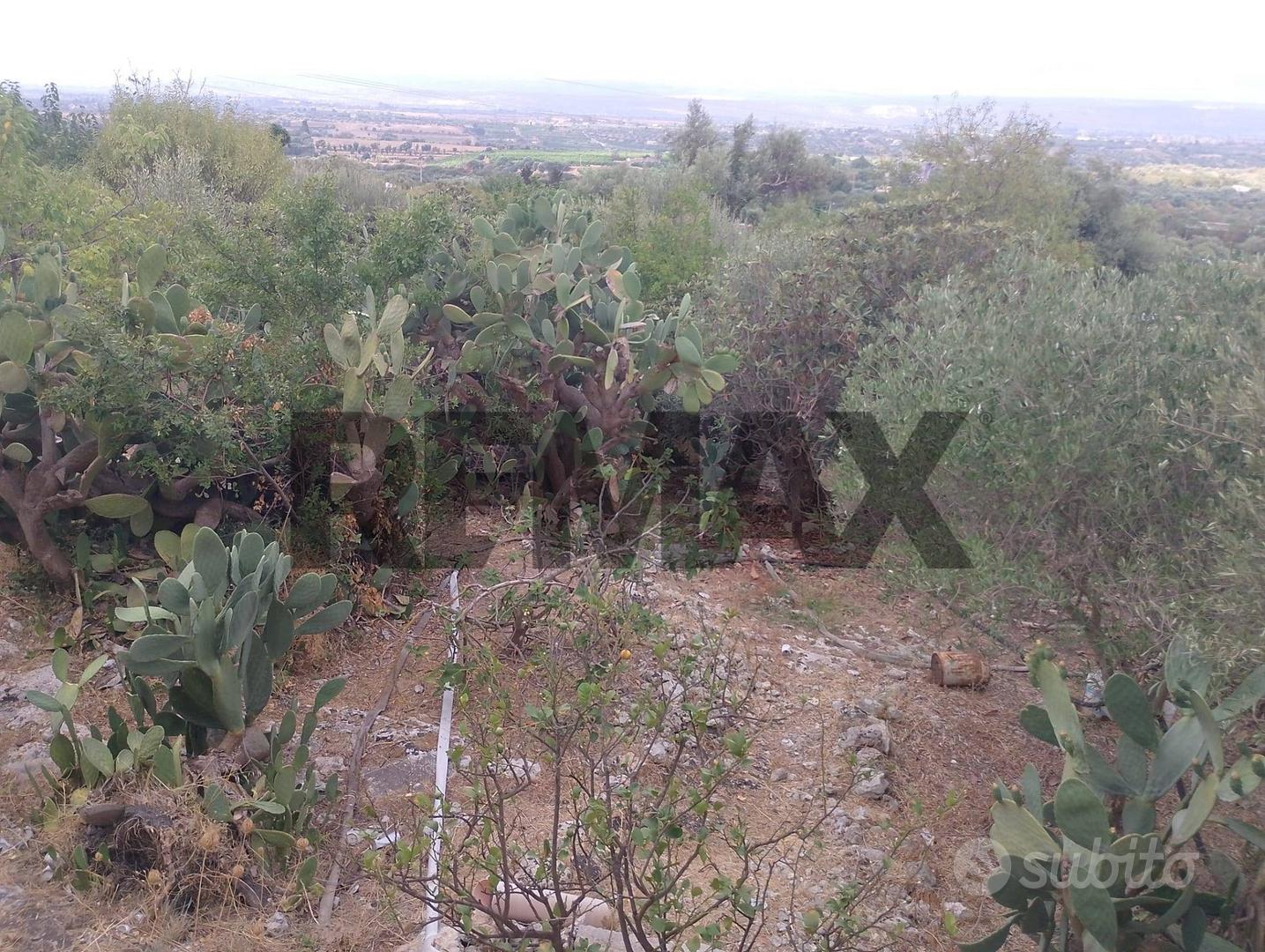 Terreno - Siracusa - Vista 5