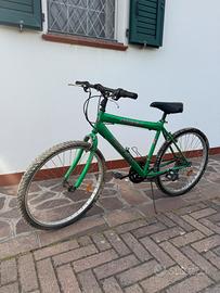 Bicicletta da uomo