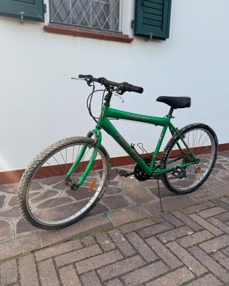Bicicletta da uomo
