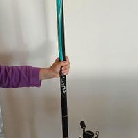 Canna da pesca bolognese