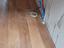Immagine 10