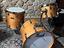Immagine 2