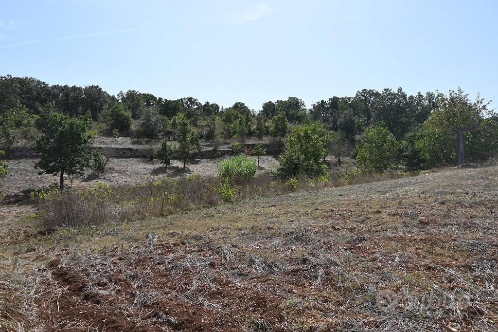 Terreno di 13800 m² a Alberobello - Vista 5