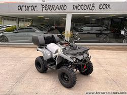 Lem hummer 200 all track pronta consegna