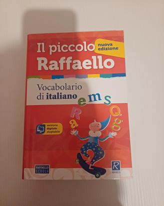 vocabolario il piccolo raffaello