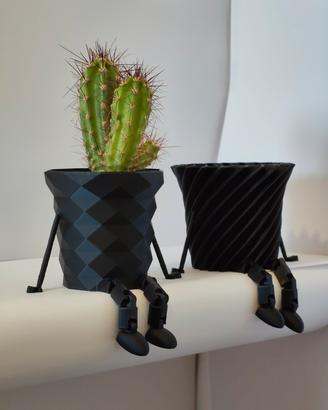 Coppia Mini Vasi Moderni Cactus
