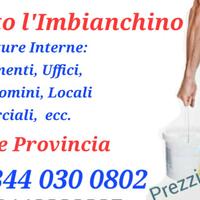 Roberto l'imbianchino