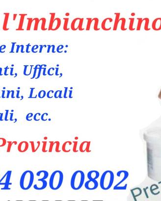 Roberto l'imbianchino