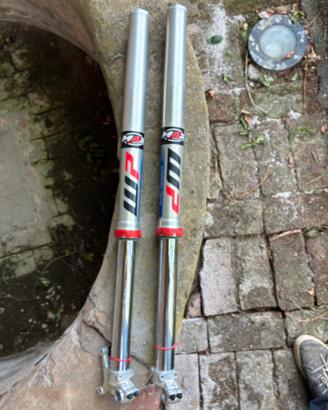 Forcelle aria per ktm 22’