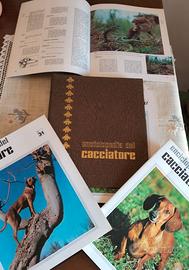 Fascicoli enciclopedia del cacciatore anno 1967.