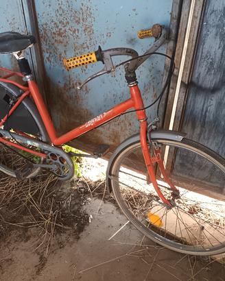 bicicletta olandesina legnano