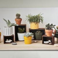 Quadri/tele da arredamento