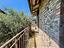 Immagine 13