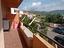 Immagine 8