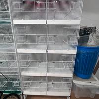 Voliere marca DOMUS MOLINARI
