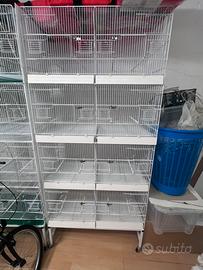 Voliere marca DOMUS MOLINARI