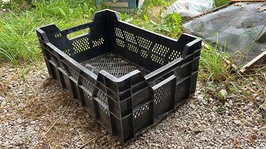 Cassette di plastica per frutta/verdura